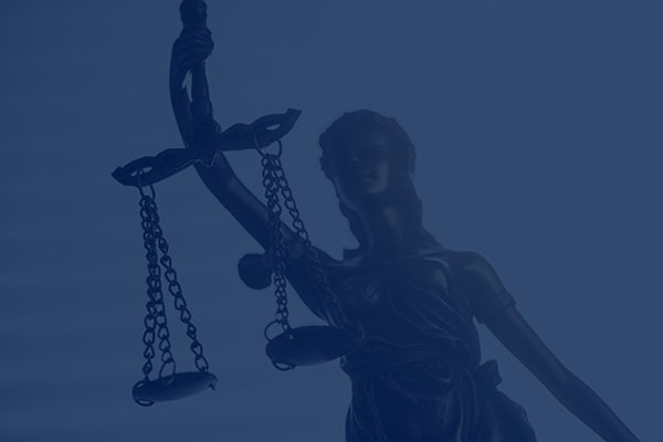 Bachelor International Law